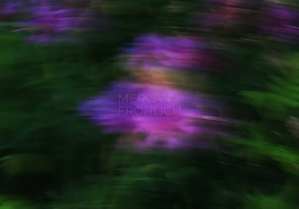 Kunst-Impressionen – Mercan Fröhlich