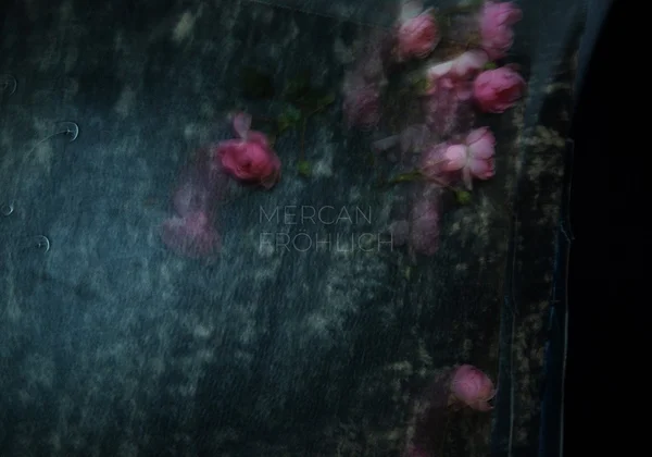 Fotokunst auf Acrylglas – Mercan Fröhlich