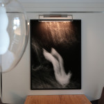 Meine Bilder In Räumen - Mercan Fröhlich